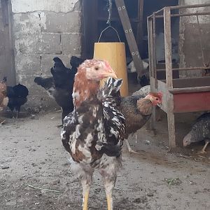 ٢٠١٩١١٠١_١٦٠٦٢٠