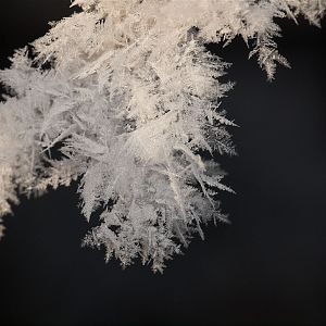 Frost_UB224375_11-22-2019-001