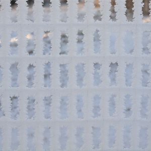 Frost_XB229901_11-22-2019-001