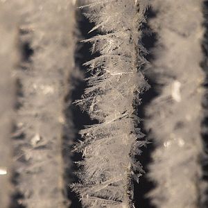 Frost_XB229905_11-22-2019-001