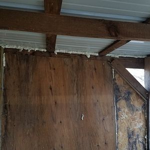 After: Openings between the roof-panels and the wooden structure