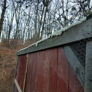 After: Openings between the roof-panels and the wooden structure