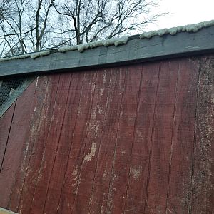 After: Openings between the roof-panels and the wooden structure