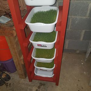 My fodder tower in the garage