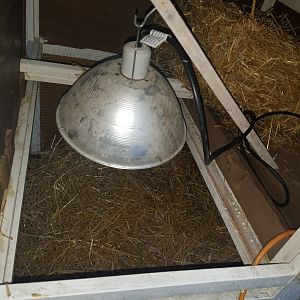 Infrared-lamp is installed