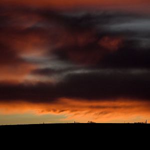 Sunrise_XC210030_12-21-2019-001