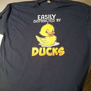 Easily distracted by Ducks