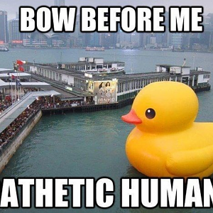 BowBeforeMeHumons