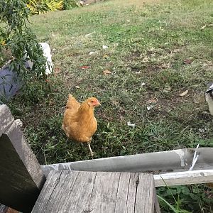 9AF5520F-C8C7-4FAF-8303-7C5836B20213