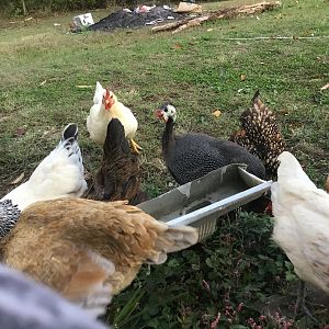 A7FC384B-D8F8-42E8-8FCE-AEF2C11F335C