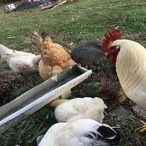 A763E6C2-5A99-4A77-8401-6919FD3B77BE