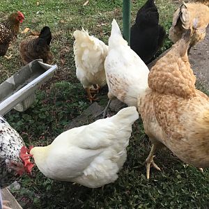 449DDCB0-F538-4F86-9739-7D3F17A8BEDF