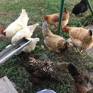 1583ABB2-5A7A-45CA-ABD3-C2036E8FA1A7