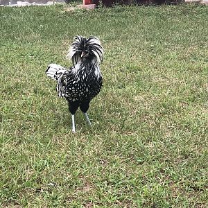 8AE8471E-8BD5-44FF-963E-18CFF81EEEB6