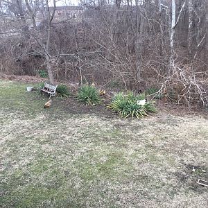 72C6547B-7308-42A5-9A0D-B5D64FCE0BDC