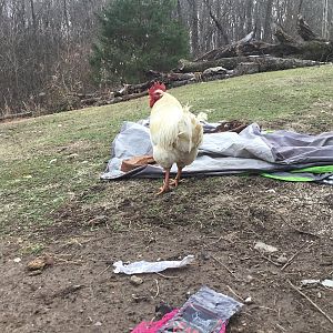 8E983F0F-5F84-45C4-9E3B-C391ABB04FB4