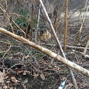 47D29541-F4C3-4B7B-835C-465C9F76505D