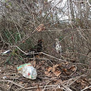 C818CBAE-8AAA-4C35-BBE4-C35A90695803