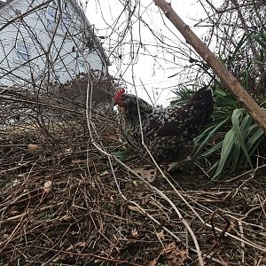 30FD302F-7775-4F16-A48A-BD1E00B0A234