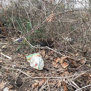 B8E07A43-90B7-4FB6-88B2-B6BBD9300E05