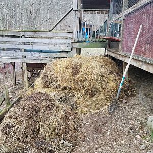 This is the bedding from both bedrooms on the compost pile