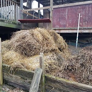 Another viewing angle, all bedding on one pile
