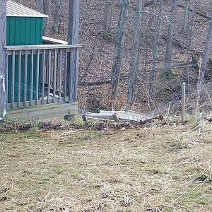 A ladder was blown over and fell into the fence