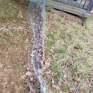 Fence is now wobbly and warped