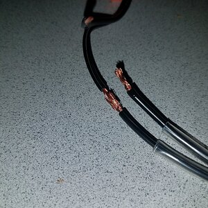20200119_140605.jpg