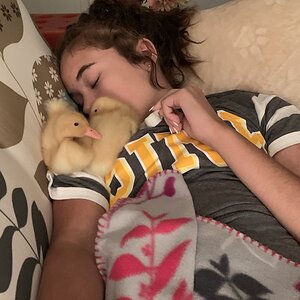 169BF7C8-5B4E-4670-A760-FBBAAB58768F.jpeg