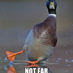 NotFarEnoughSouth.jpg