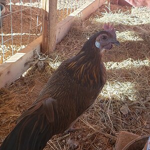 20200123_160702 (1).jpg