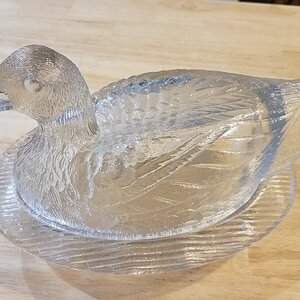 Glass Duck