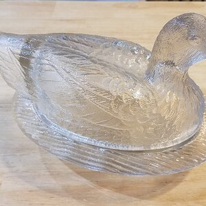Glass Duck