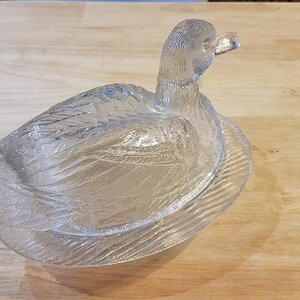 Glass Duck