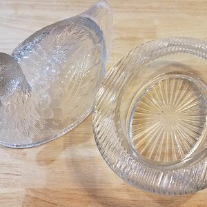 Glass Duck