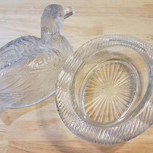 Glass Duck