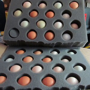 shipping eggs_1.jpg