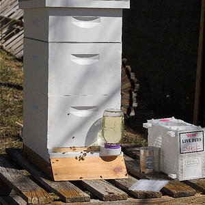 Saskatraz_bee_hive_X4070320_04-07-2020-001.jpg