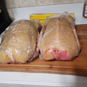 processed drakes packed to rest in fridge (front view)