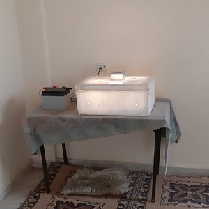 ٢٠٢٠٠٥٠٥_١٠٣٢٥٠.jpg