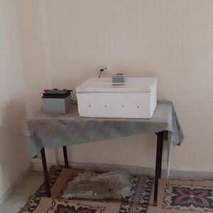 ٢٠٢٠٠٥٠٥_١٠٣٢٥٥.jpg