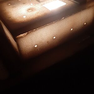IMG-20200507-WA0005.jpeg