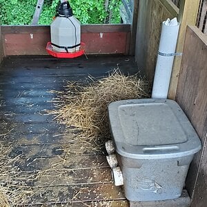 Addtional floorspace (camping area) for the grown up ducks