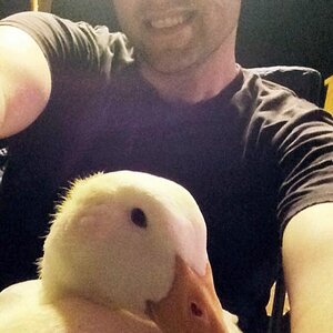 Nick & Bubs
