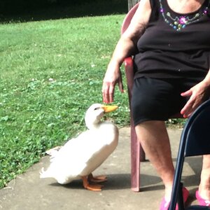 Feed Me Grandma By The River! Peas!
