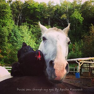 Friends come in all shapes