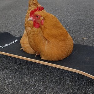 Corey on Long-board