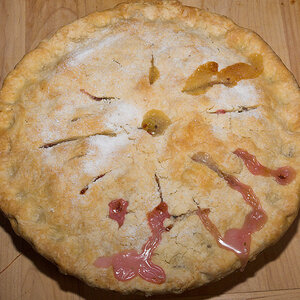 Gooseberry_pie_X6271506_06-27-2020-001.jpg