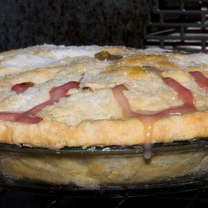 Gooseberry_pie_X6271503_06-27-2020-001.jpg